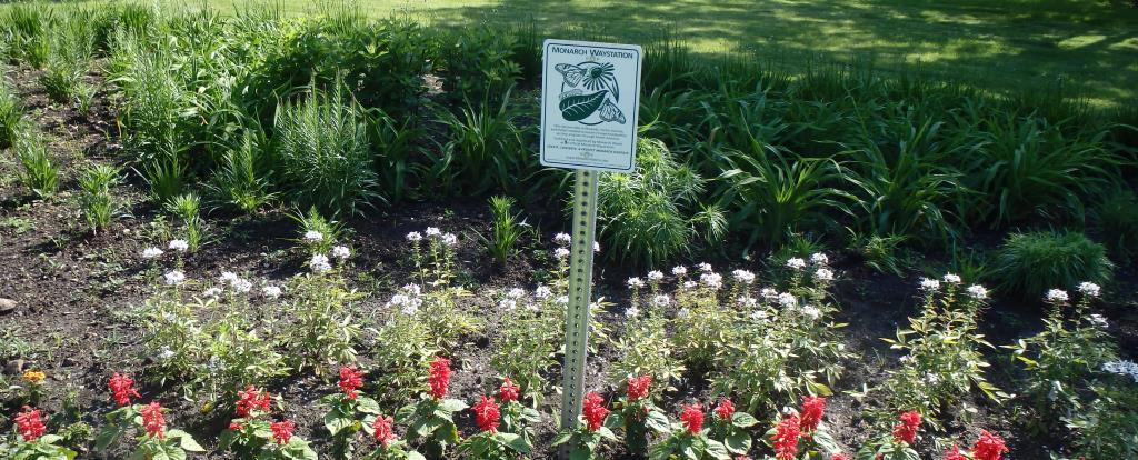 A sign is displayed in front of a colorful flower bed featuring red and white flowers